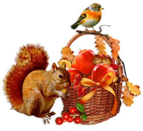 őszi állatok_65.png